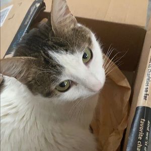 Meet your Posher, Alexis